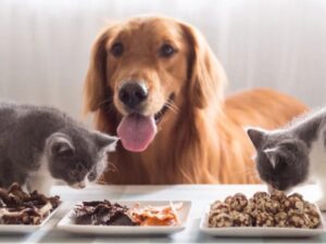 Κέρδισε ένα 2ήμερο στην Κωνσταντινούπολη με μεταφορά & διαμονή δώρο! (25)